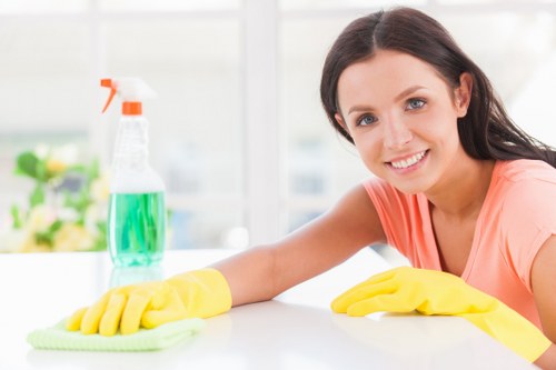 Professional carpet cleaning in a Hampstead home