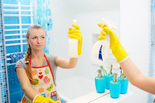 Professional house cleaning in a Hampstead living room