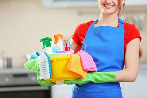 Deep carpet cleaning equipment used in Hampstead