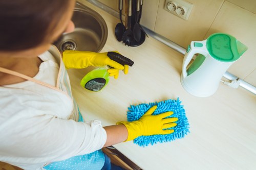 Professional cleaner in Hampstead carrying out domestic cleaning in a bright home