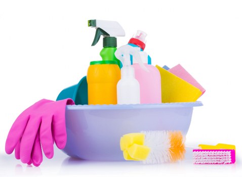 Carpet cleaning team sorting recyclable waste in Hampstead