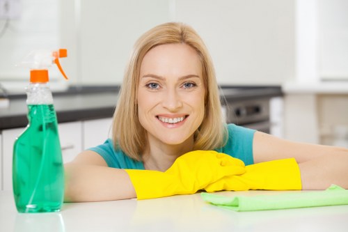 Cleaner in Hampstead maintaining a tidy living room and polished surfaces