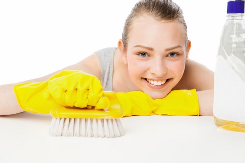 Professional move out cleaning in a Hampstead apartment living room
