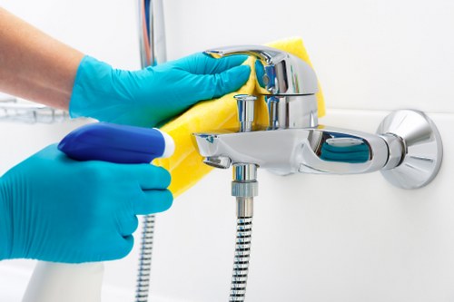 Clean kitchen appliance maintenance by an oven cleaner in Hampstead
