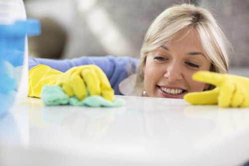 Customer responsibilities and cleaning preparation details
