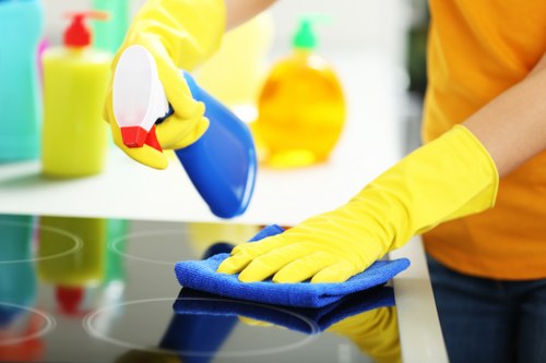 Deep cleaning service in Hampstead focusing on kitchen surfaces and appliances