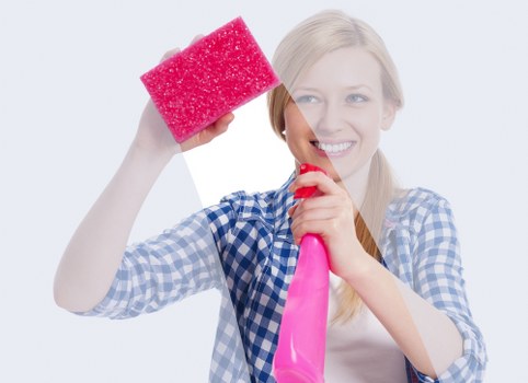 Booking and service information for carpet cleaning