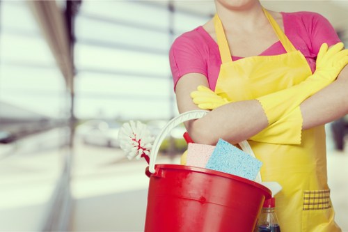 Professional carpet care removing dirt and stains in Hampstead