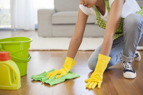 Eco-friendly domestic cleaning support in Hampstead